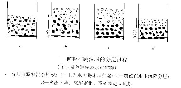 礦粒在跳汰時的分層過程