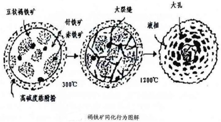 褐鐵礦同化行為圖解